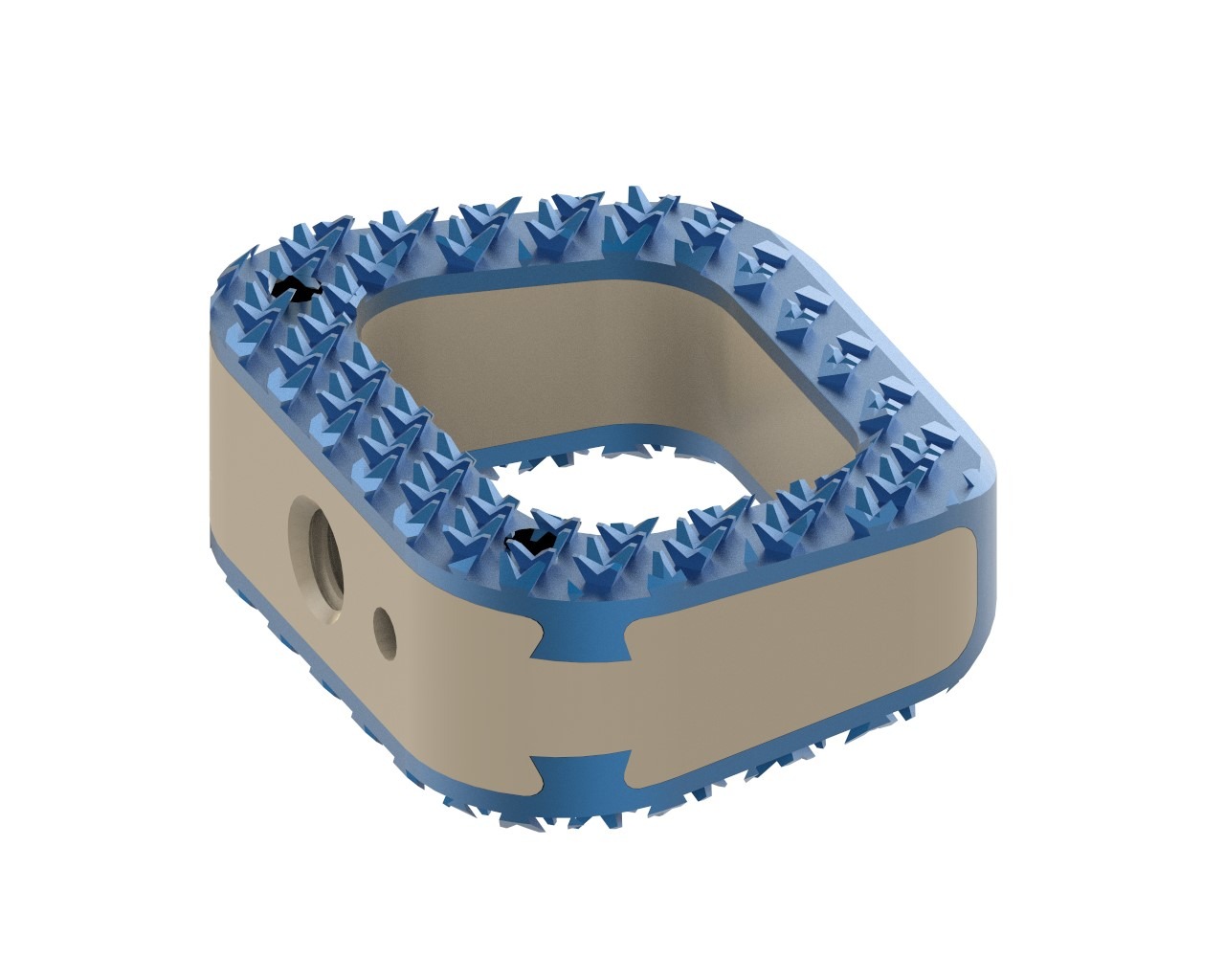 Spinal fusion