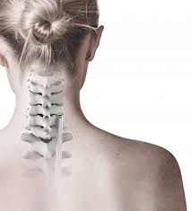 Medical Cage