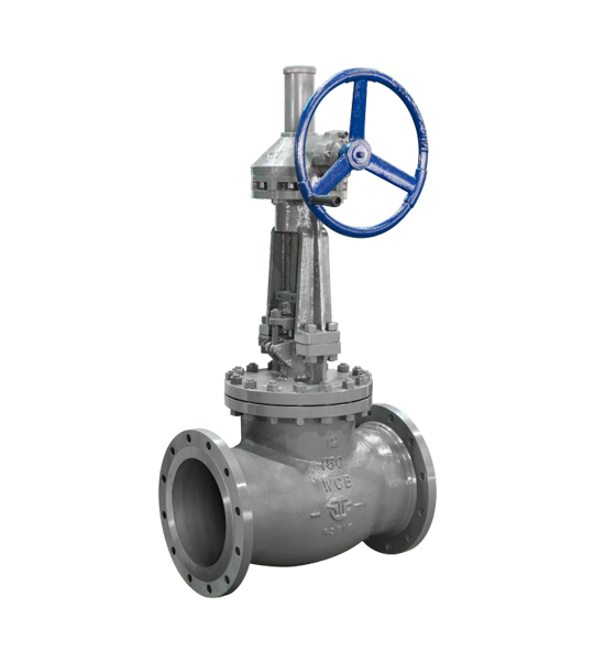 Cast steel valve